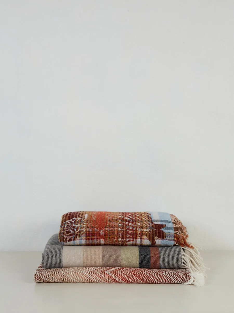 Missoni Benjamin Throw (160)