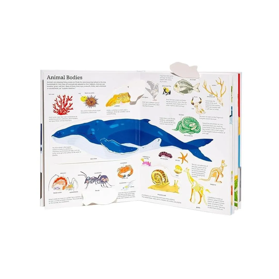 Ultimate Book of Animals